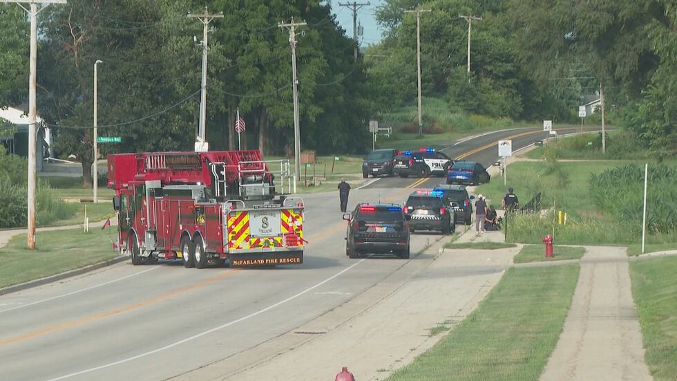 A child died after being hit by a vehicle on Wednesday, the Village of McFarland announced.