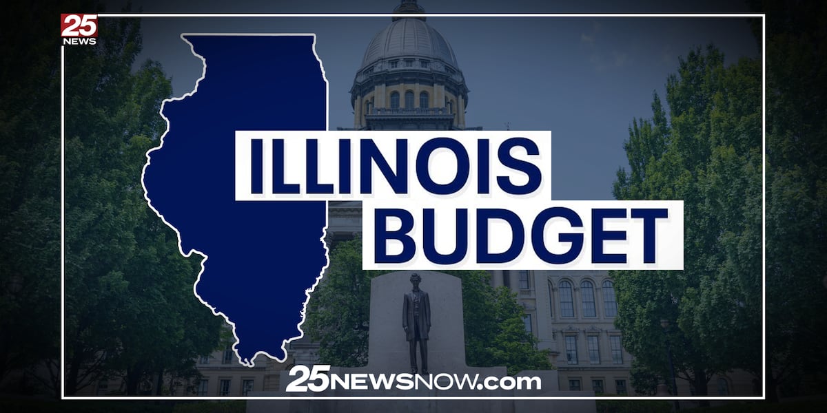 Central Illinois lawmakers expose divisions on spending, new taxes