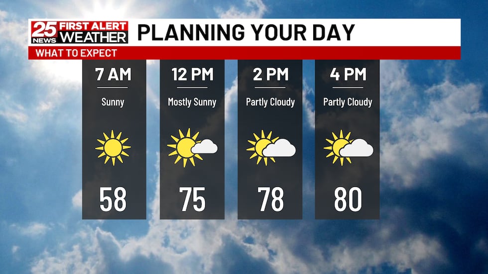 Plenty of sunshine for the workweek